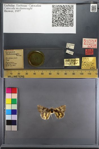 Media type: image;   Entomology 749657